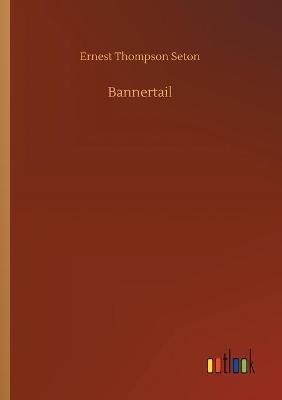 Bannertail - Ernest Thompson Seton - cover