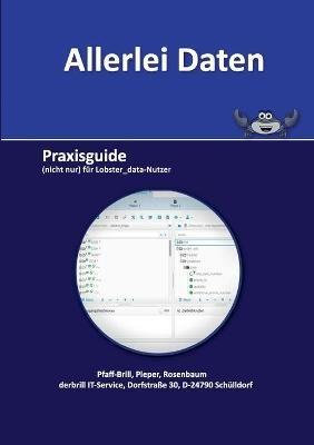 Allerlei Daten: Praxisguide (nicht nur) für Lobster_data-Nutzer - Malte Pfaff-Brill,Kolja Pieper,Glennys Rosenbaum - cover