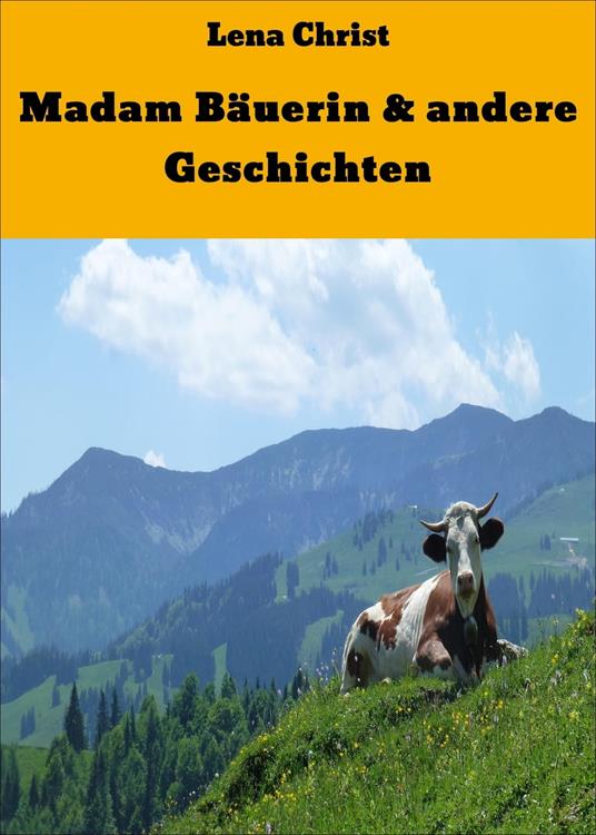 Madam Bäuerin & andere Geschichten