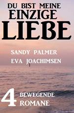 Du bist meine einzige Liebe: 4 bewegende Romane