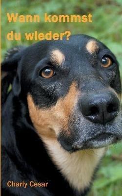 Wann kommst du wieder? - Charly Cesar - cover
