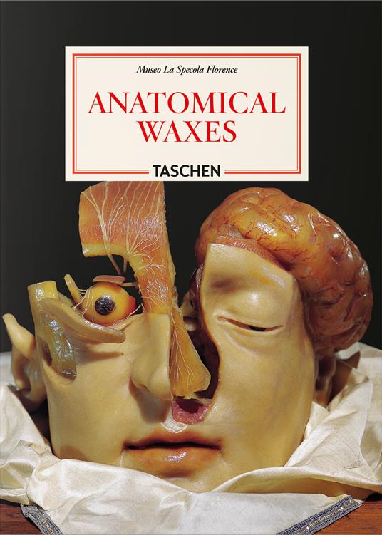 Anatomical waxes. 45th Ed. Ediz. inglese, francese e tedesca - Marta Poggesi - copertina