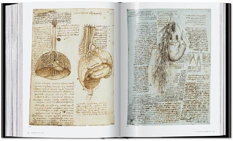 Leonardo. Tutti i dipinti e disegni. Ediz. italiana - 4