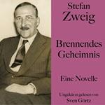 Stefan Zweig: Brennendes Geheimnis