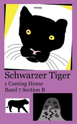 Schwarzer Tiger 1 Coming Home: Band 7 Section B - Twins - cover