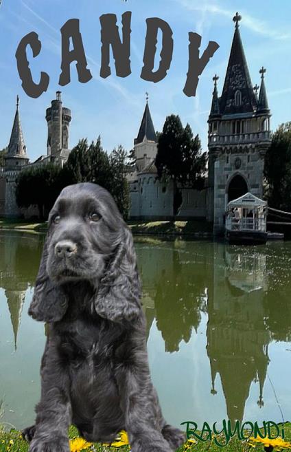 C A N D Y - RAYMONDi - ebook