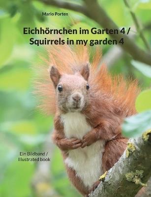 Eichhörnchen im Garten 4 / Squirrels in my garden 4: Ein Bildband / Illustrated book - Mario Porten - cover
