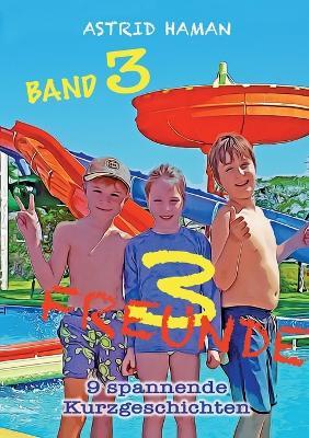 3 Freunde: Band 3 - Astrid Haman - cover