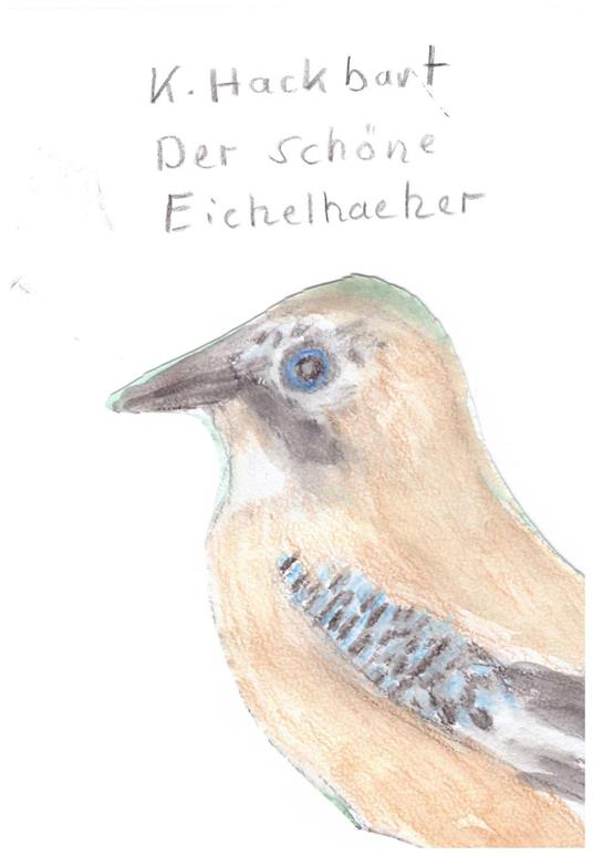 Der schöne Eichelhaeher