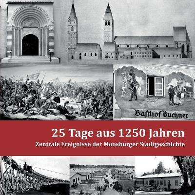 25 Tage aus 1250 Jahren: Zentrale Ereignisse der Moosburger Stadtgeschichte - Dominik Reither - cover