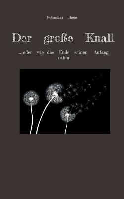Der große Knall: ... oder wie das Ende seinen Anfang nahm - Sebastian Raue - cover