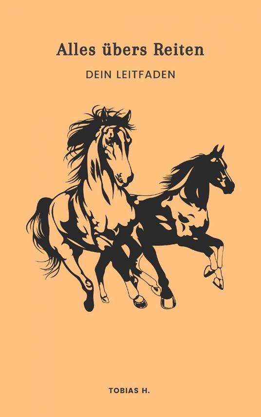 Alles übers Reiten - dein Leitfaden