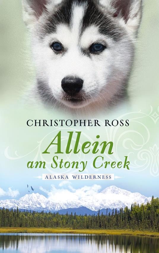 Alaska Wilderness - Allein am Stony Creek (Bd. 3) - Christopher Ross - ebook