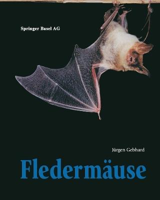 Fledermäuse - Jürgen Gebhard - cover