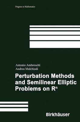 Perturbation Methods and Semilinear Elliptic Problems on R^n - Antonio Ambrosetti,Andrea Malchiodi - cover