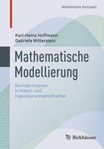 Mathematische Modellierung: Grundprinzipien in Natur- und Ingenieurwissenschaften
