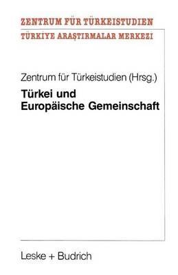 Türkei und Europäische Gemeinschaft: Eine Untersuchung zu positiven Aspekten eines potentiellen EG-Beitritts der Türkei für die Europäische Gemeinschaft - Kenneth A Loparo - cover