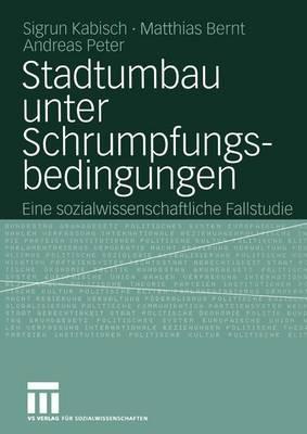 Stadtumbau unter Schrumpfungsbedingungen: Eine sozialwissenschaftliche Fallstudie - Sigrun Kabisch,Matthias Bernt,Andreas Peter - cover