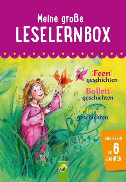 Meine große Leselernbox: Feengeschichten, Ballettgeschichten, Pferdegeschichten - Anke Breitenborn,Carola von Kessel,Ilo Mörsdorf,Bärbel Witzig - ebook