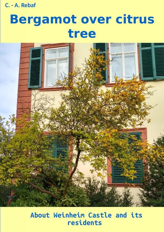 Bergamot over citrus tree