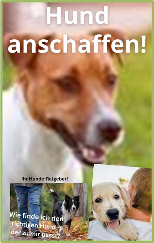 Hund anschaffen!
