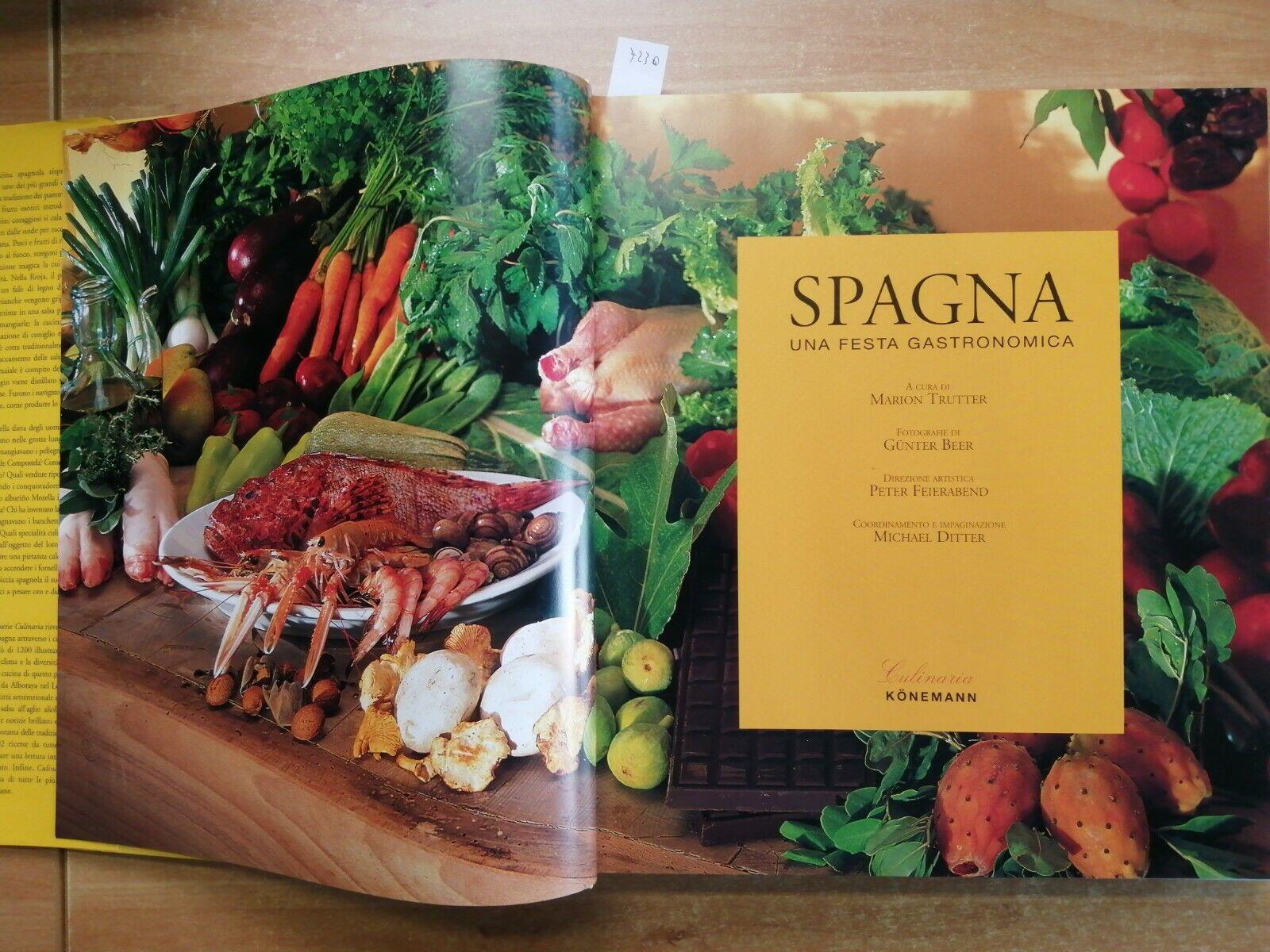 Spagna. Una festa gastronomica. Ediz. illustrata