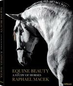 Equine beauty. A study of horses