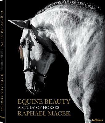 Equine beauty. A study of horses - Raphael Macek - copertina