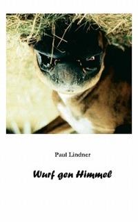 Wurf gen Himmel - Paul Lindner - cover