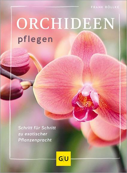Orchideen pflegen