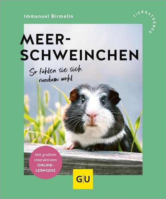 Meerschweinchen
