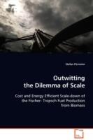 Outwitting the Dilemma of Scale - Stefan Furnsinn - cover