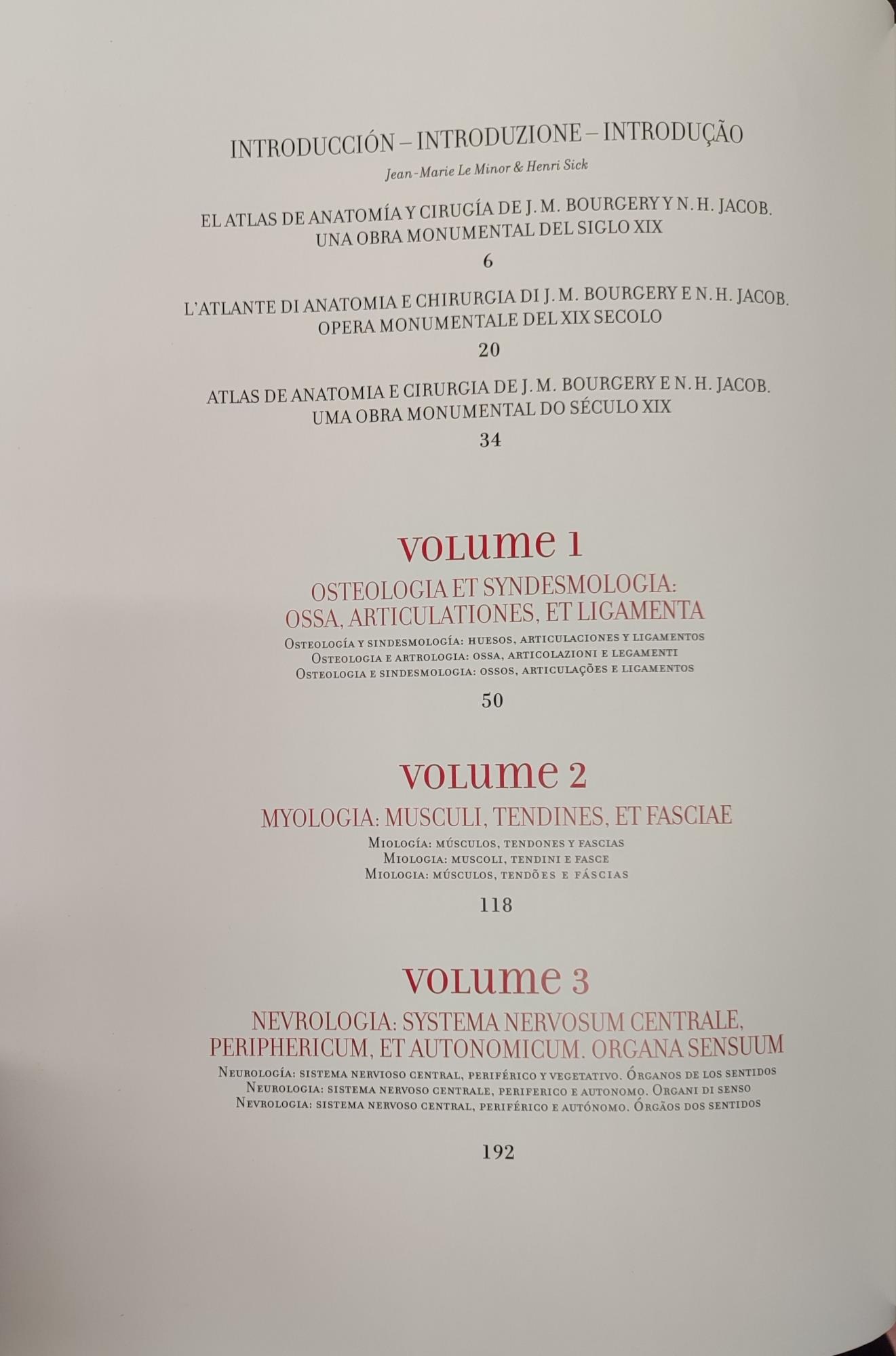  Atlas anatomy. Ediz. multilingue