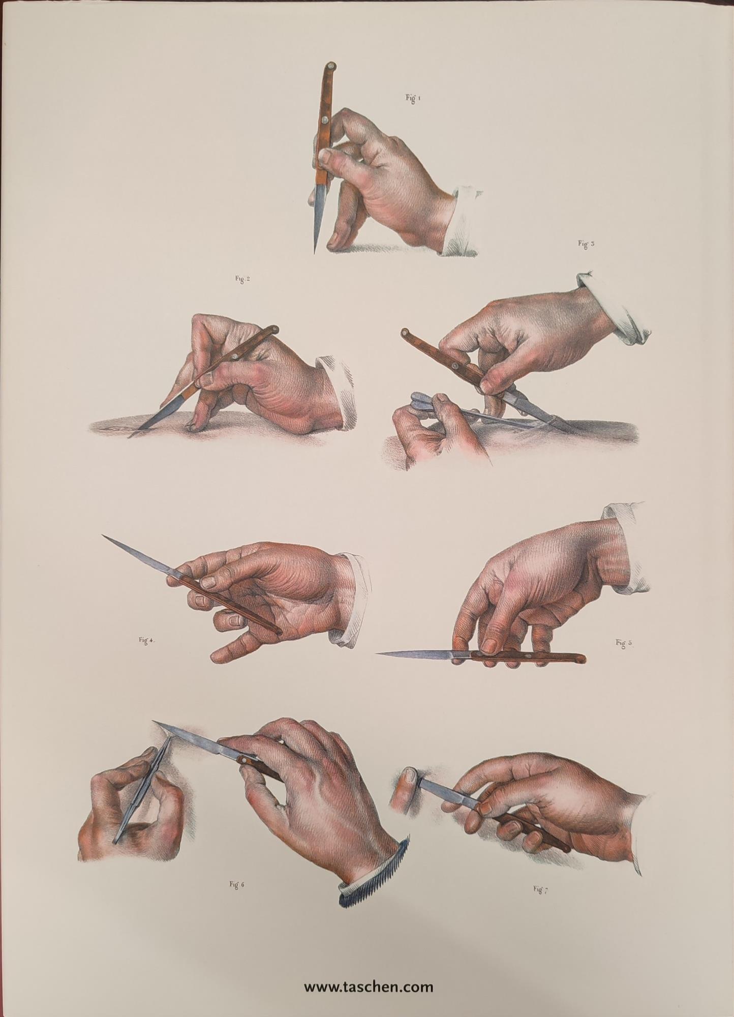  Atlas anatomy. Ediz. multilingue