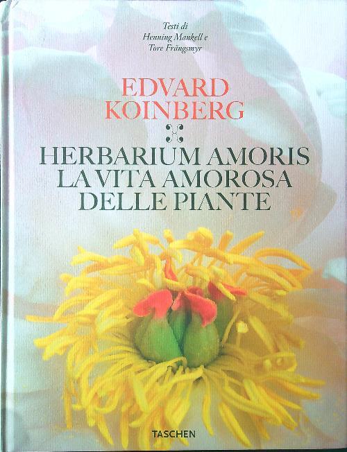 LIBRACCIO VINTAGE