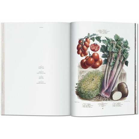 Vilmorin, vegetable garden. Ediz. italiana, spagnola e portoghese - Werner Dressendörfer - 4