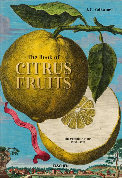 Johann Christoph Volkamer. The book of citrus fruits. Ediz. inglese, francese, tedesca - Iris Lauterbach - copertina