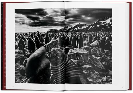 Sebastião Salgado. Genesis. Ediz. inglese - 3