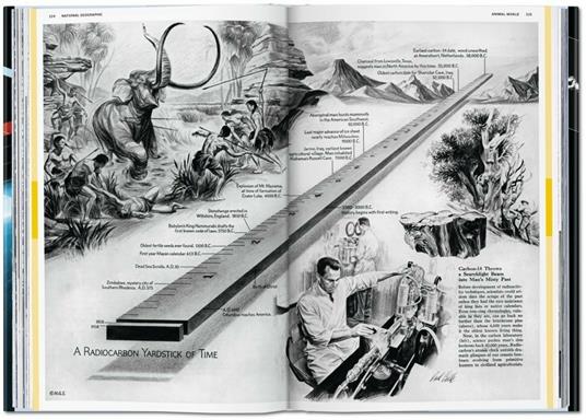 National Geographic infographics. Ediz. italiana, spagnola e portoghese - 5