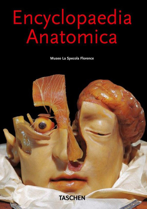 Arca dei libri