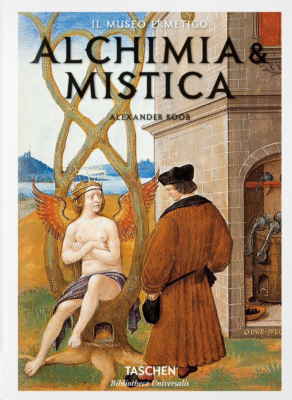 Bibliotecario