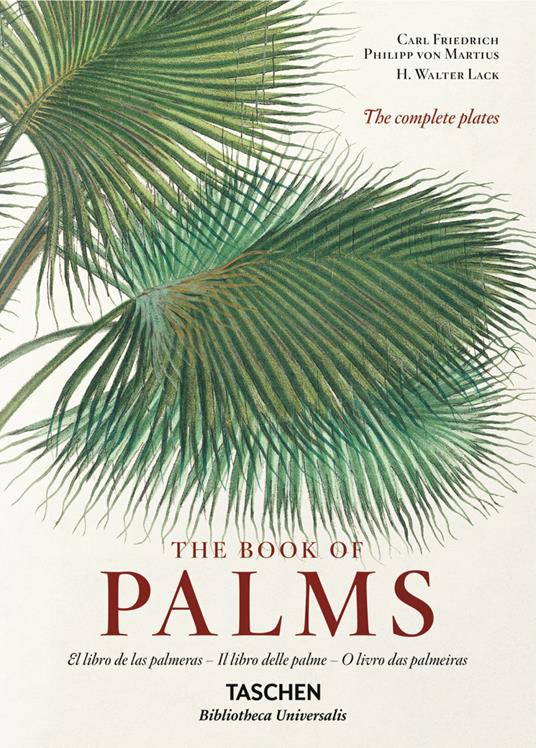 C. F. P. von Martius. The book of palms. Ediz. italiana, spagnola e portoghese - H. Walter Lack - copertina