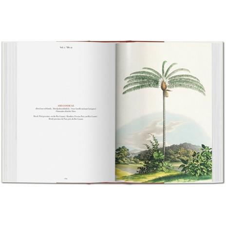 C. F. P. von Martius. The book of palms. Ediz. italiana, spagnola e portoghese - H. Walter Lack - 7