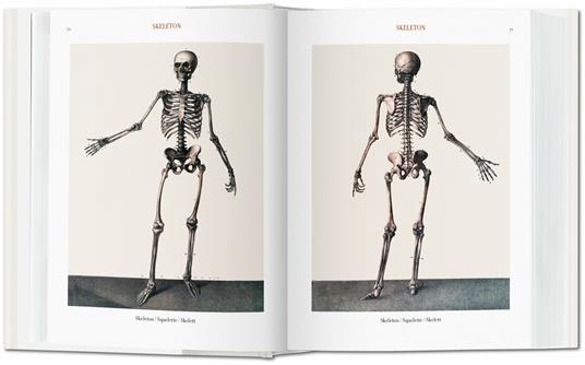 Atlas of human anatomy and surgery. Ediz. italiana, portoghese e spagnola - Jean-Baptiste Bourgery,Nicolas H. Jacob - 2