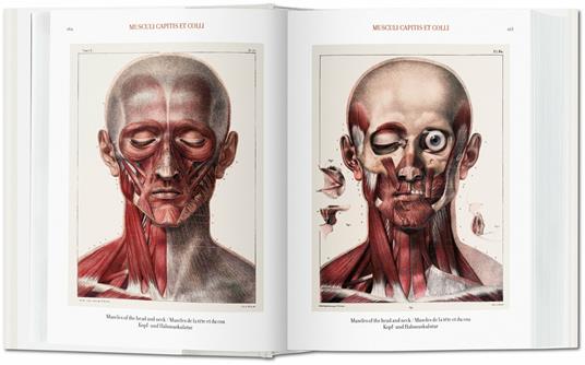 Atlas of human anatomy and surgery. Ediz. italiana, portoghese e spagnola - Jean-Baptiste Bourgery,Nicolas H. Jacob - 3