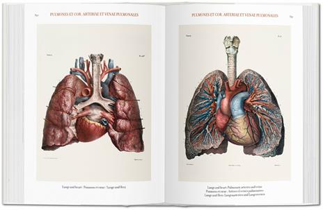 Atlas of human anatomy and surgery. Ediz. italiana, portoghese e spagnola - Jean-Baptiste Bourgery,Nicolas H. Jacob - 4