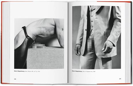 The male nude. Ediz. inglese, francese e tedesca - David Leddick - 2