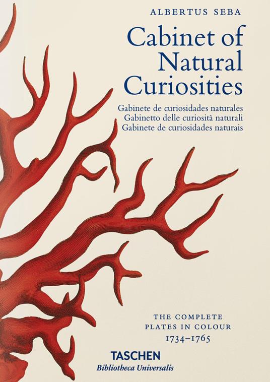 Albertus Seba. Cabinet of natural curiosities. Ediz. italiana, spagnola e portoghese - Irmgard Musch,Jes Rust,Rainer Willmann - copertina