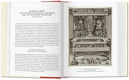 Albertus Seba. Cabinet of natural curiosities. Ediz. italiana, spagnola e portoghese - Irmgard Musch,Jes Rust,Rainer Willmann - 2