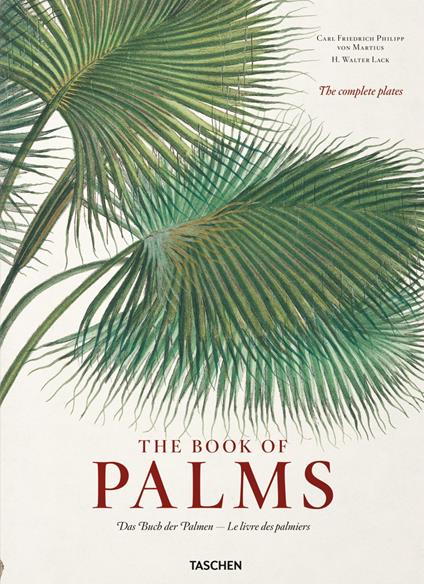Martius. The book of palms. Ediz. inglese, francese, tedesca - H. Walter Lack - copertina